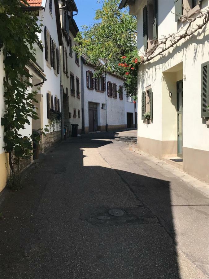 Ferienwohnung Eulenhof Neustadt an der Weinstraße Buitenkant foto